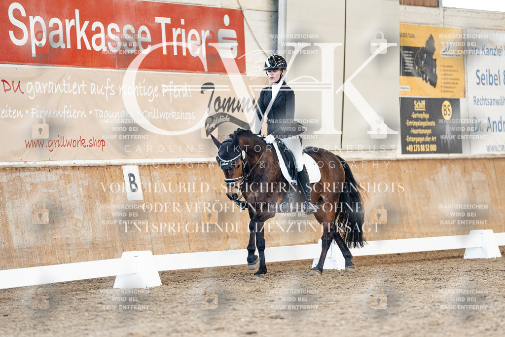 CK908104 | Turnierfotografie Pferdefotografie Trier Rheinland-Pfalz Pferdesport Reitsport Tierfotografie Sportfotografie Pferdevideo Pferdevideografie Equestrianvideography equestrianphotography  - Realisiert mit Pictrs.com