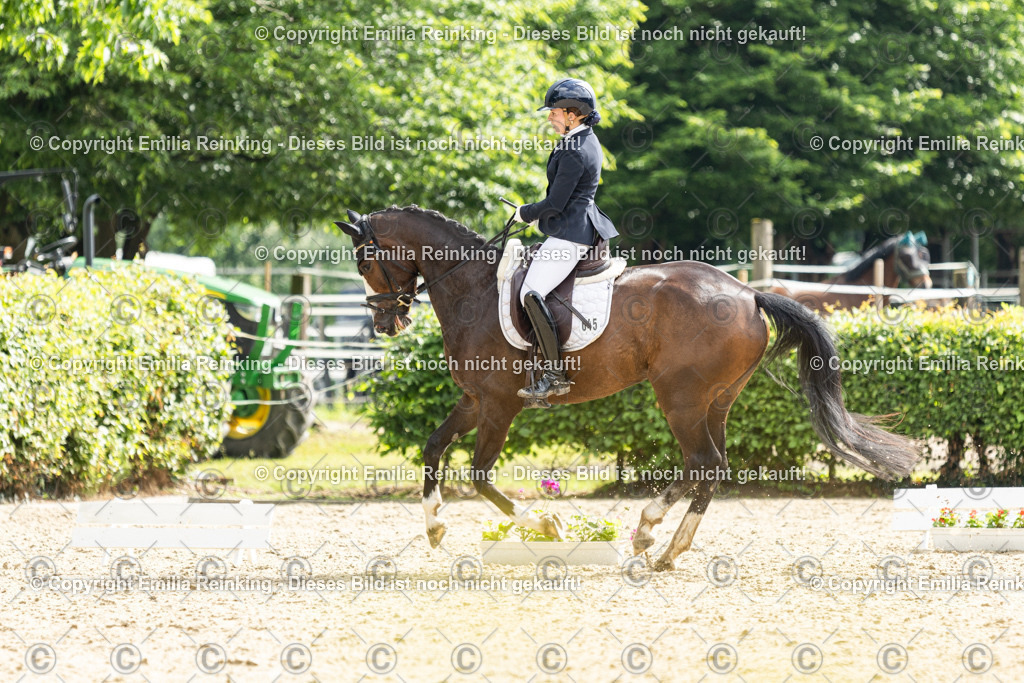 CL5A6064 | Emilia Reinking Fotografie - Realisiert mit Pictrs.com