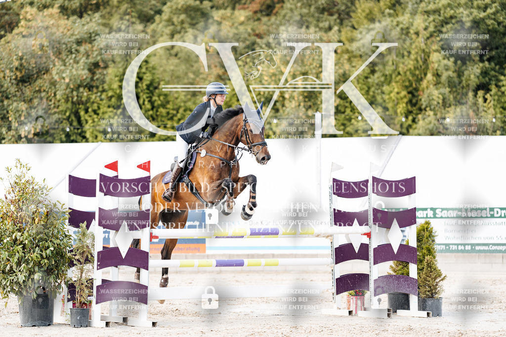 CK903680 | Turnierfotografie Pferdefotografie Trier Rheinland-Pfalz Pferdesport Reitsport Tierfotografie Sportfotografie Pferdevideo Pferdevideografie Equestrianvideography equestrianphotography  - Realisiert mit Pictrs.com