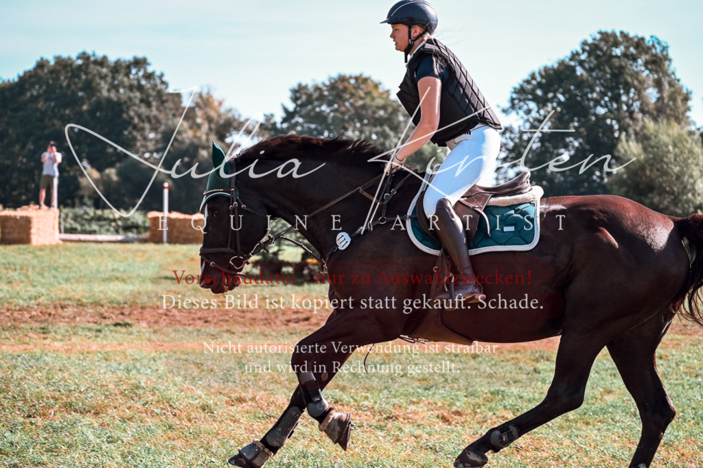 DSC_0901 | Pferde- und Turnierfotografie in Westsachsen. Pferdeportraits, Auftragszeichnungen und intuitive Kunst.