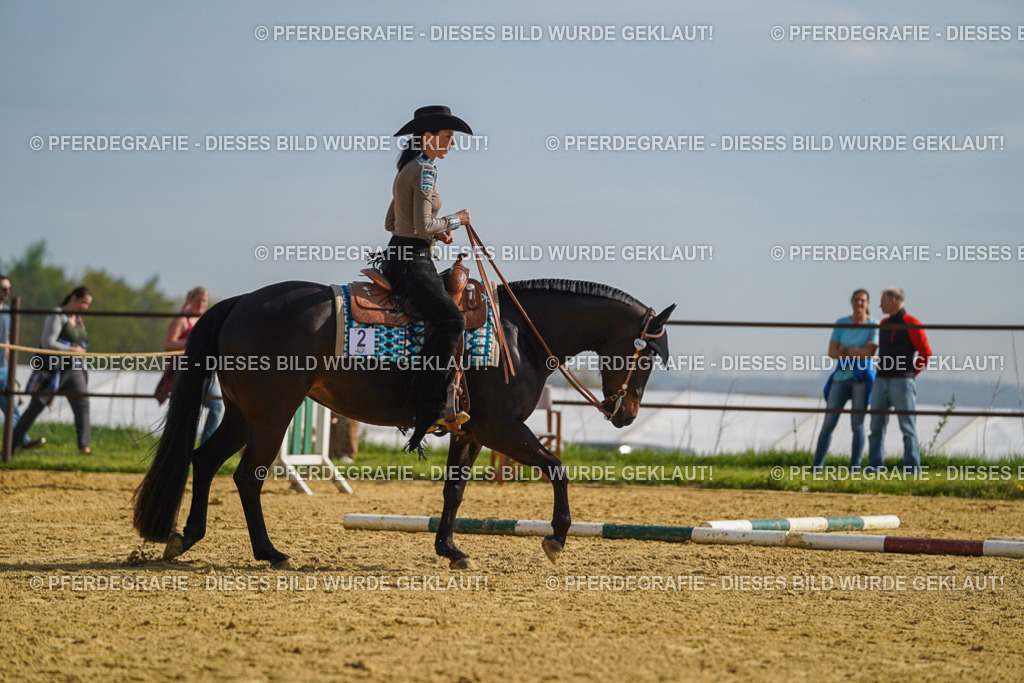 DSC01319 | Pferdegrafie