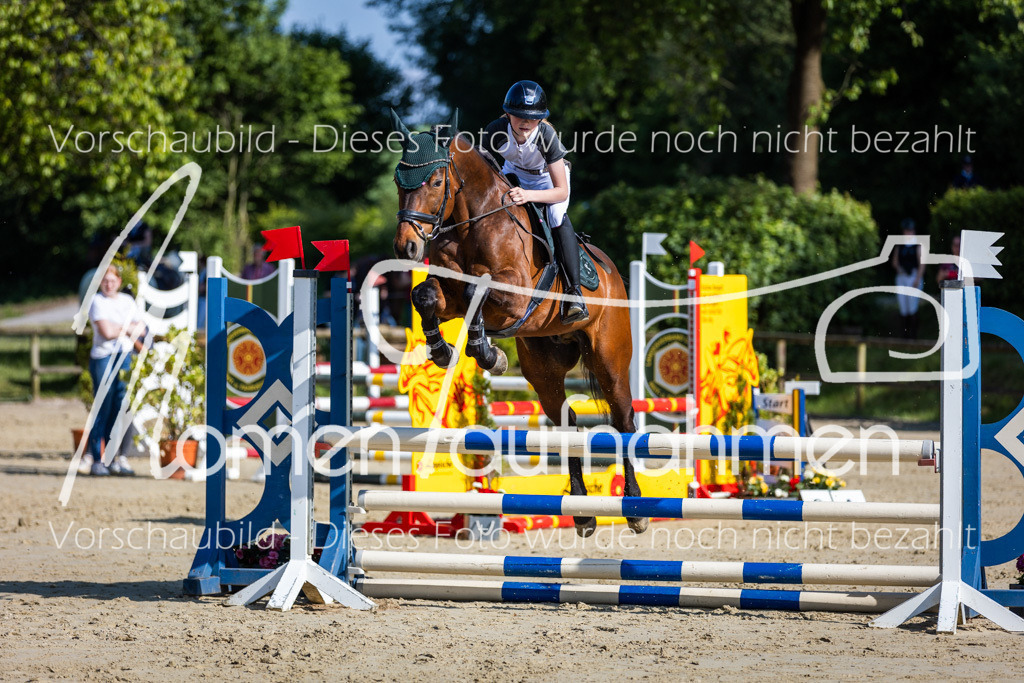 Donop24-ASpr-050 | MomenTaufnahmen Pferdesportfotos