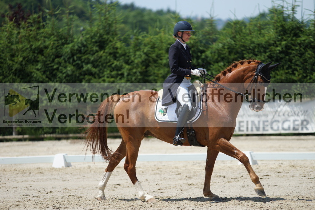 DSC05106 | equestrian-live-com