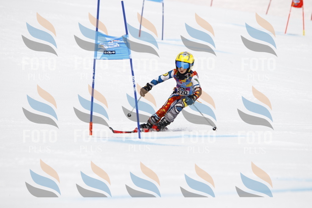 _U3G6757 | holidayphoto