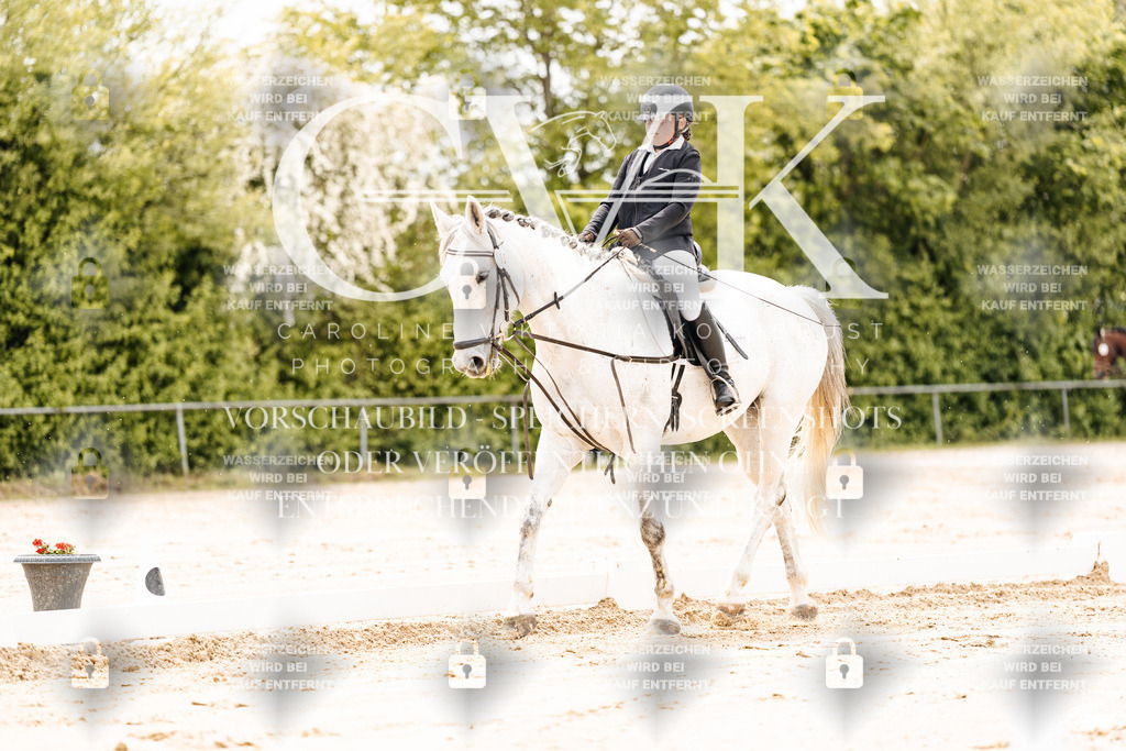 CK902703 | Turnierfotografie Pferdefotografie Trier Rheinland-Pfalz Pferdesport Reitsport Tierfotografie Sportfotografie Pferdevideo Pferdevideografie Equestrianvideography equestrianphotography  - Realisiert mit Pictrs.com