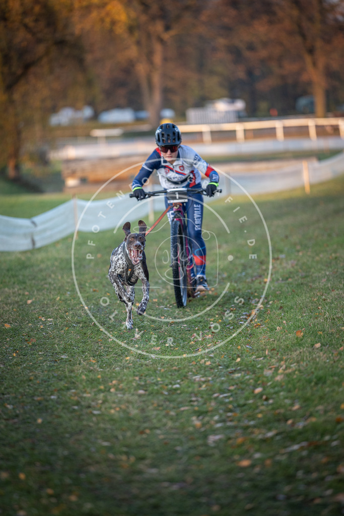 CaniXpix_DV3A9244 | Hundefotografie, Tierfotograf, Pfotenfotografie, Fotoshooting Hund, Hunde Portrait, Hundesport, Hundeportraits, Heideshooting, Hunde, Sportfotograf, Hundefotograf, Turnierhundsport, THS,  - Realisiert mit Pictrs.com