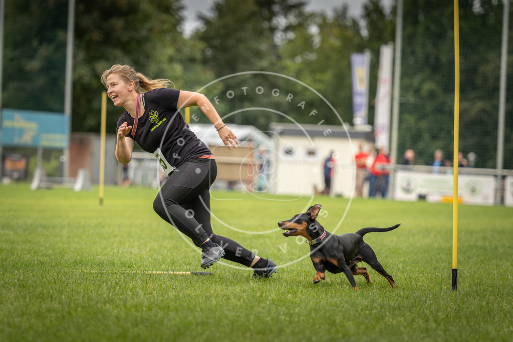 Pfotenfotografie_DV3A8033 | Hundefotografie, Tierfotograf, Pfotenfotografie, Fotoshooting Hund, Hunde Portrait, Hundesport, Hundeportraits, Heideshooting, Hunde, Sportfotograf, Hundefotograf, Turnierhundsport, THS,  - Realisiert mit Pictrs.com