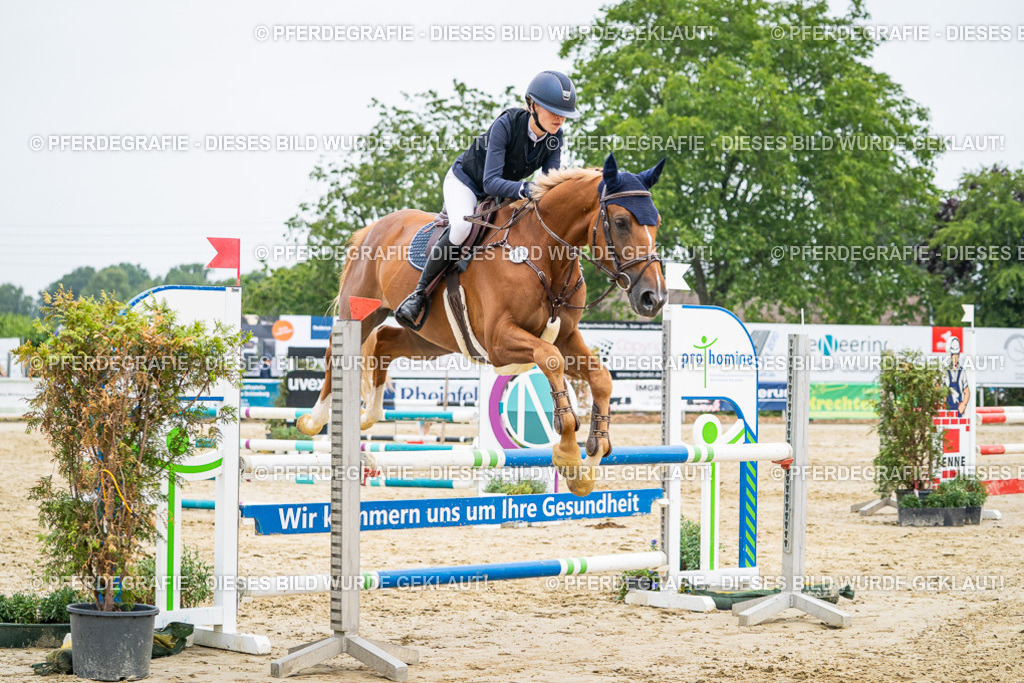 DSC00453 | Pferdegrafie