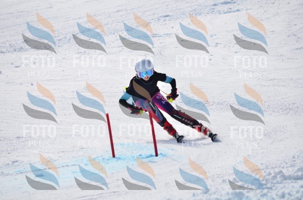 C9967 | holidayphoto