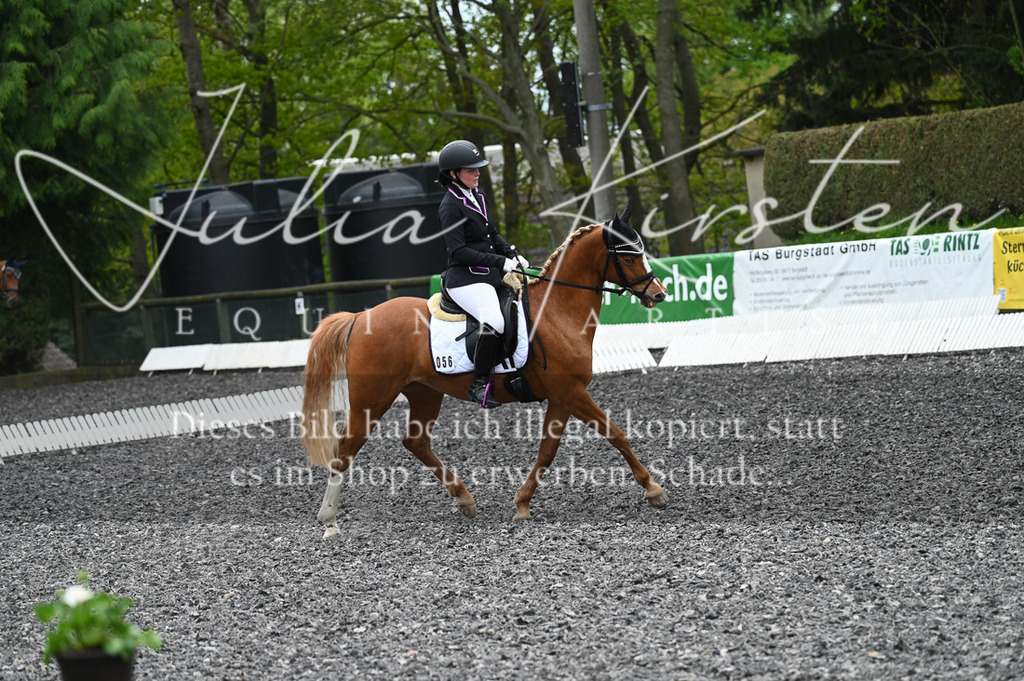 20230512_JK-Röhrsdorf-07-160 | Pferde- und Turnierfotografie in Westsachsen. Pferdeportraits, Auftragszeichnungen und intuitive Kunst.