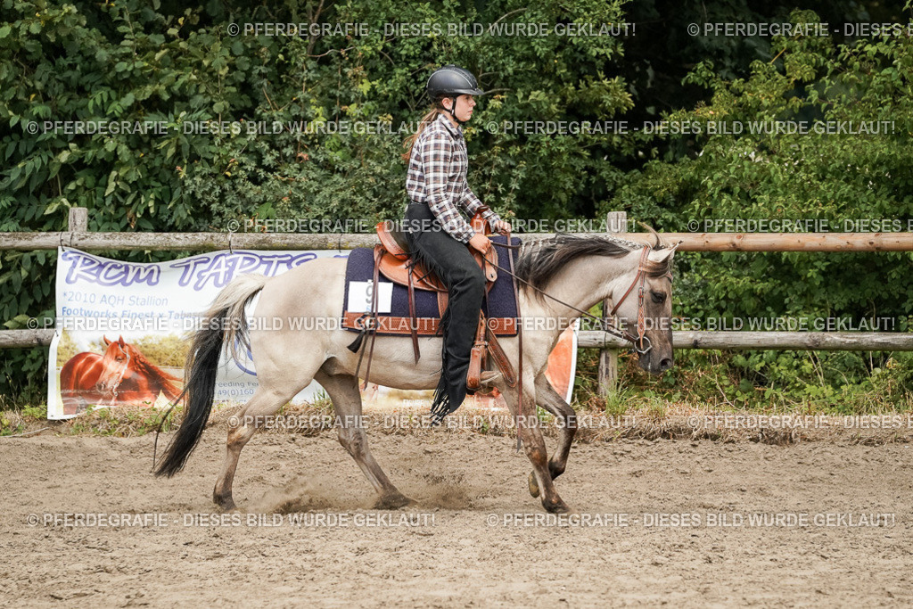 DSC09951 | Pferdegrafie