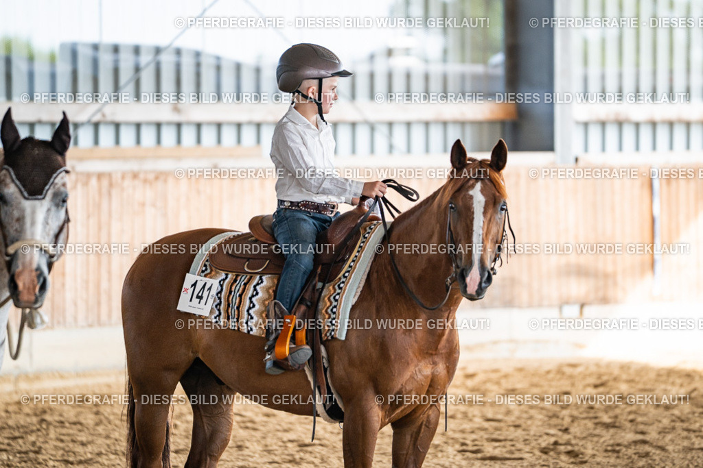 DSC08706 | Pferdegrafie