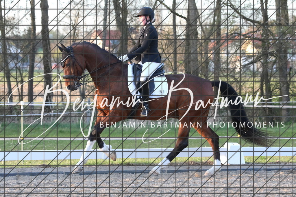 AZ2A5895 | Benjamin Bartmann Photomoments