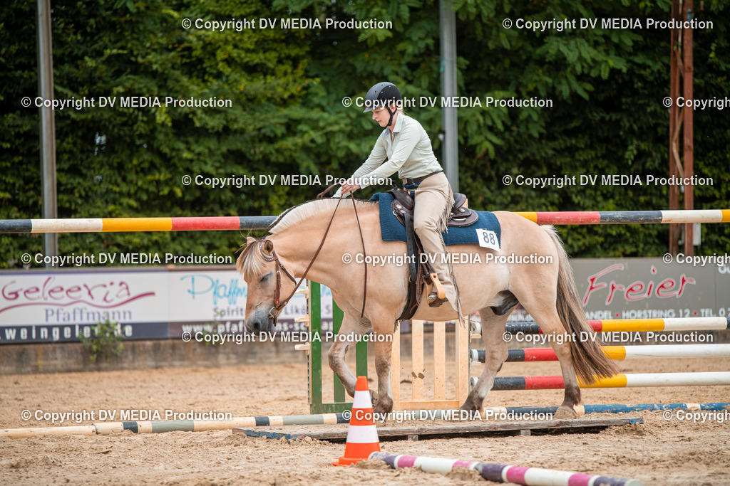 ZS2_7770 | dv-media-shop - Realisiert mit Pictrs.com