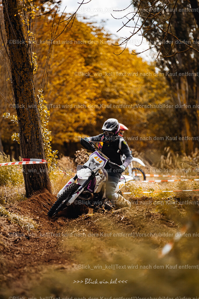 E68A2271 | blick_win_kel