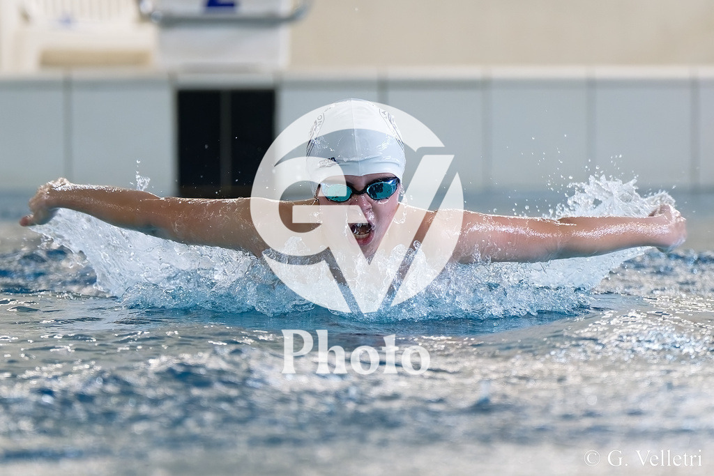 DSC_8419 | Velletri Photo