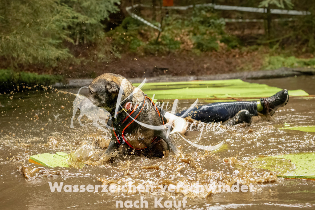 1219_ZZ93855-Bearbeitet | kk-dogfotos
