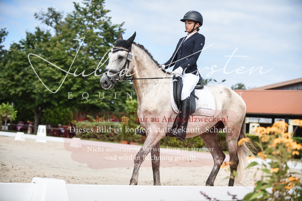 DSC_8691 | Pferde- und Turnierfotografie in Westsachsen. Pferdeportraits, Auftragszeichnungen und intuitive Kunst.