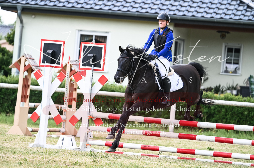 DSC_8966 | Pferde- und Turnierfotografie in Westsachsen. Pferdeportraits, Auftragszeichnungen und intuitive Kunst.