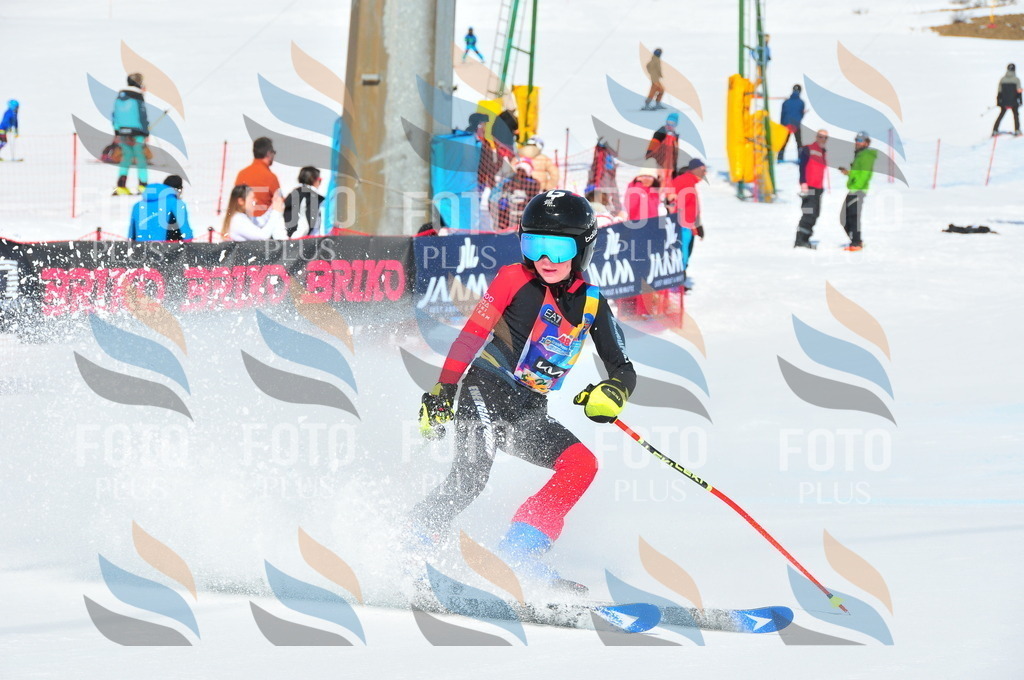 DSC_1064 | holidayphoto