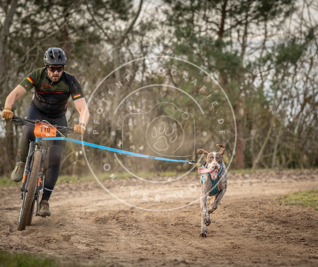 Pfotenfotografie_DV3A7851 | Hundefotografie, Tierfotograf, Pfotenfotografie, Fotoshooting Hund, Hunde Portrait, Hundesport, Hundeportraits, Heideshooting, Hunde, Sportfotograf, Hundefotograf, Turnierhundsport, THS,  - Realisiert mit Pictrs.com