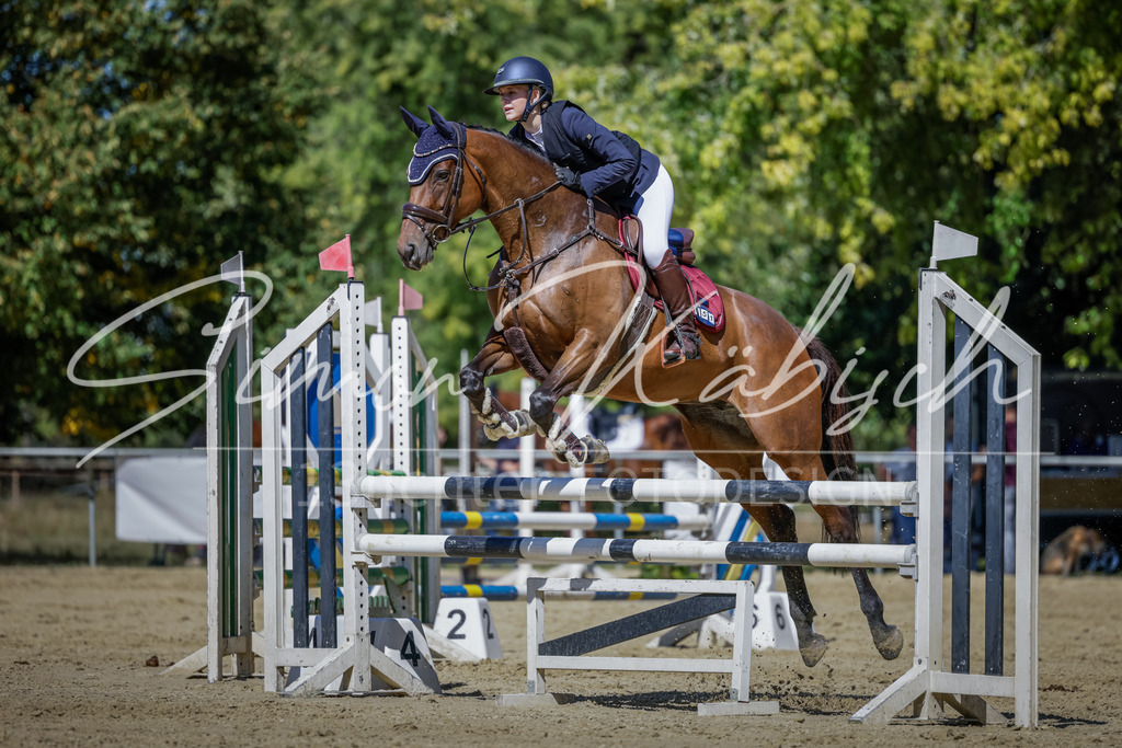 20250906-_3LI4143 | Tierfotografie Pferde, Hunde, Katzen, Haustiere.
Turnierfotografie Reitturniere, Reiten, Springreiten, Dressur in Hanau, dem Main-Kinzig-Kreis und dem Rhein-Main- Gebiet um Frankfurt