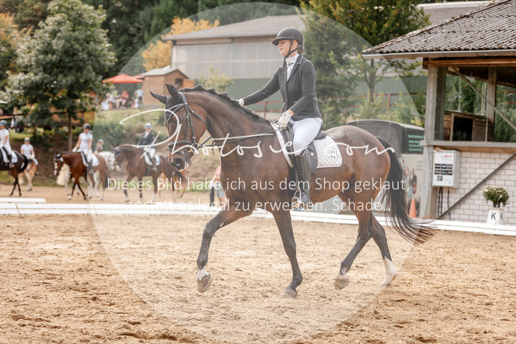 3I6A3841 | Stimmungsvolle Portraits und Reitsportfotografie im Ruhrgebiet und im Münsterland.

Pferdefotografie, Hundefotografie, Tierfotografie, Reportagen, Portraits von Tier und Mensch, Turnierfotografie in Bochum, Recklinghausen, Marl, Haltern am See, Dülmen.. - Realisiert mit Pictrs.com