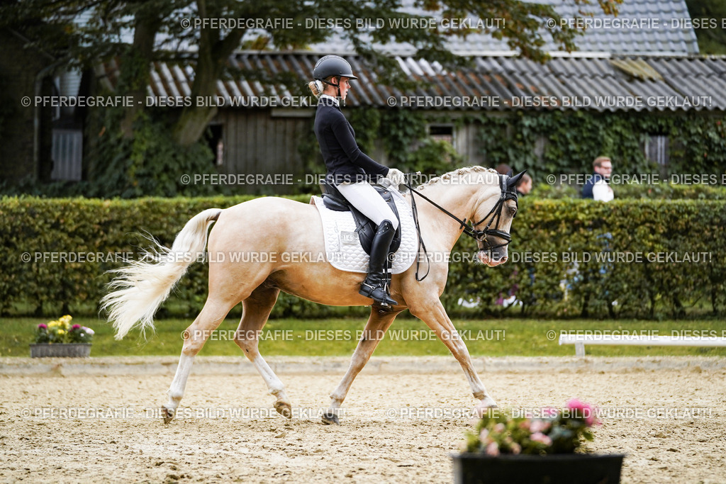 DSC02029 | Pferdegrafie