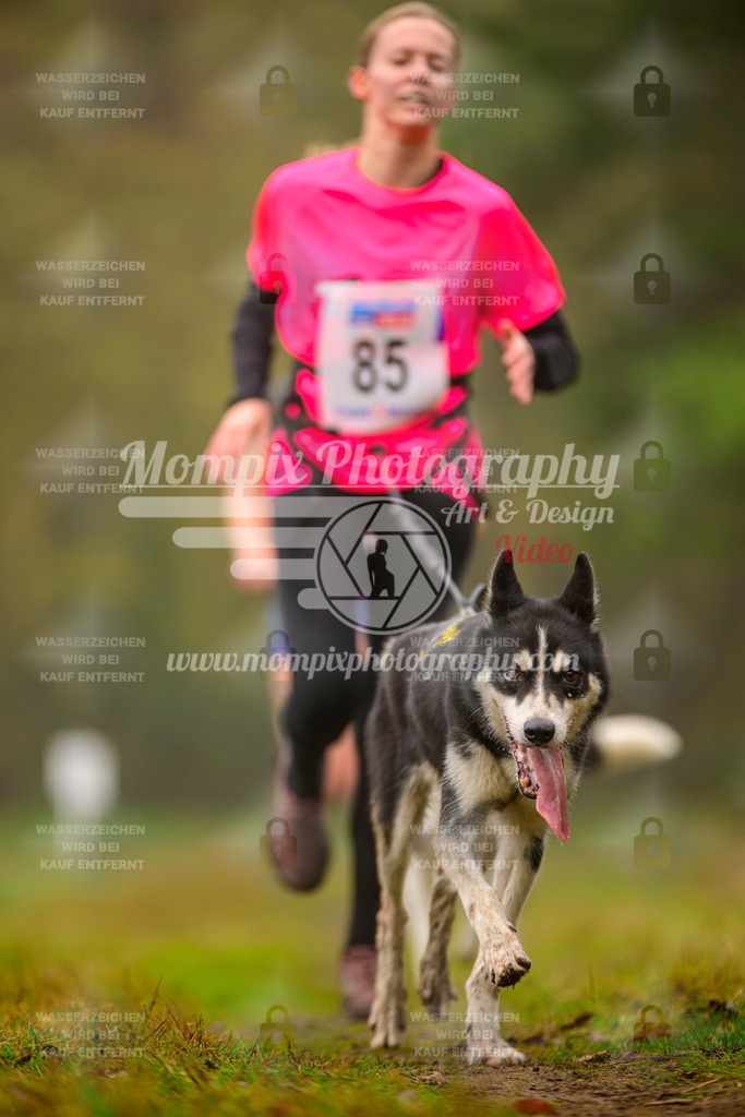 MompixPhotography_Bischwiller2025_Canicross-118 | mompixphotography