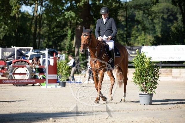 2B4A0711 | pixelfaenger - Realisiert mit Pictrs.com