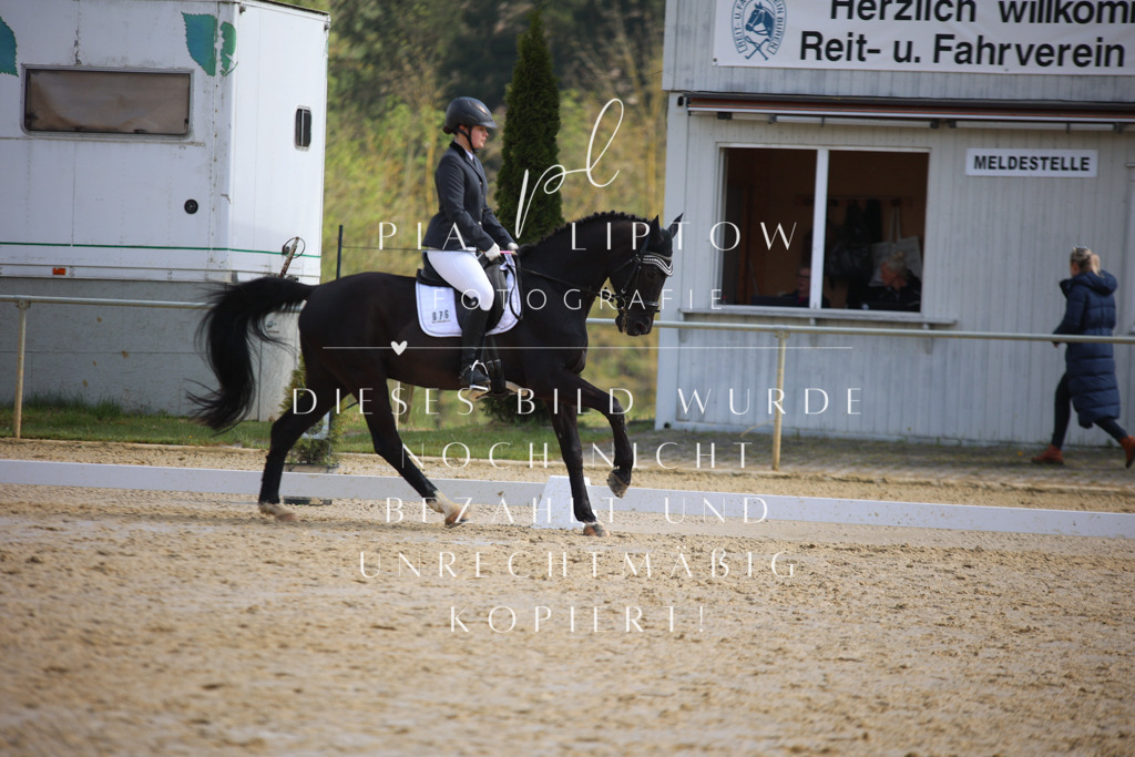 IMGT4690 | pl-fotografie