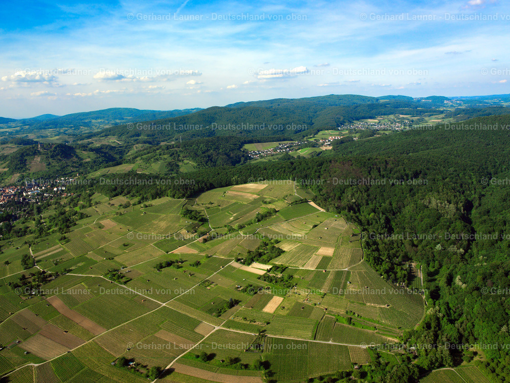 2598022 | Weinberge bei Heppenheim