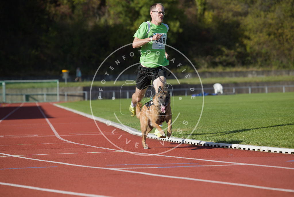 0L8A9474 | Hundefotografie, Tierfotograf, Pfotenfotografie, Fotoshooting Hund, Hunde Portrait, Hundesport, Hundeportraits, Heideshooting, Hunde, Sportfotograf, Hundefotograf, Turnierhundsport, THS,  - Realisiert mit Pictrs.com
