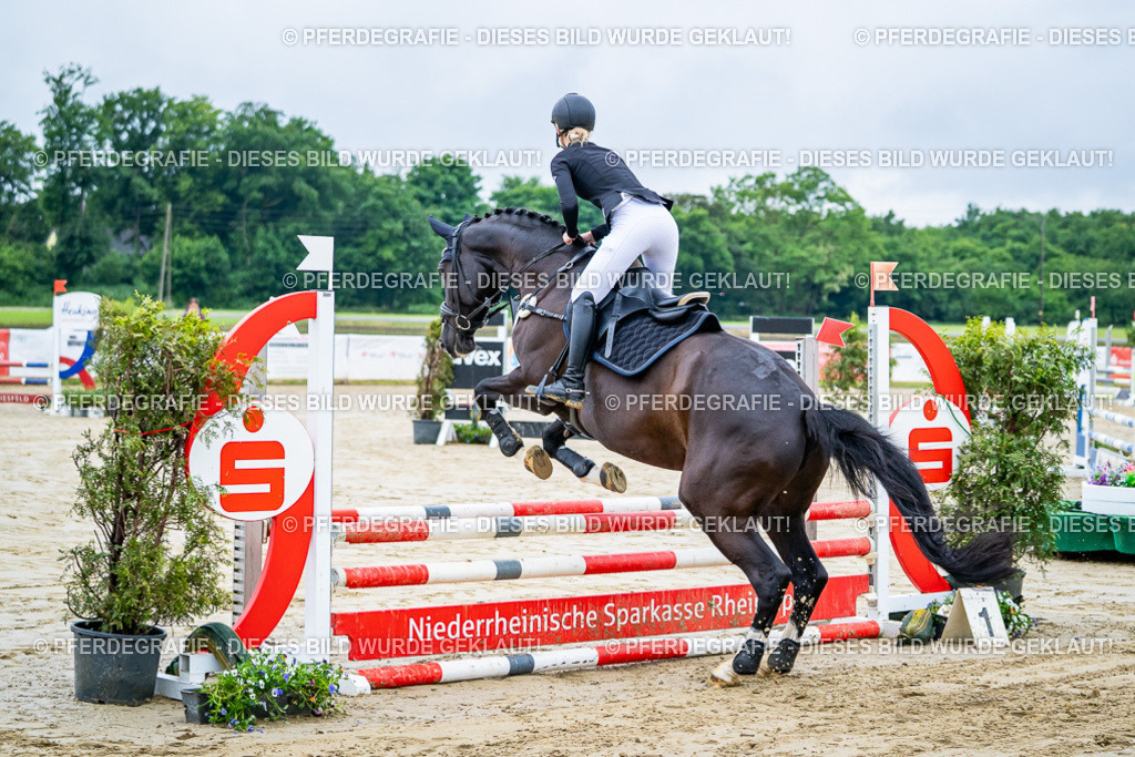 DSC00909 | Pferdegrafie