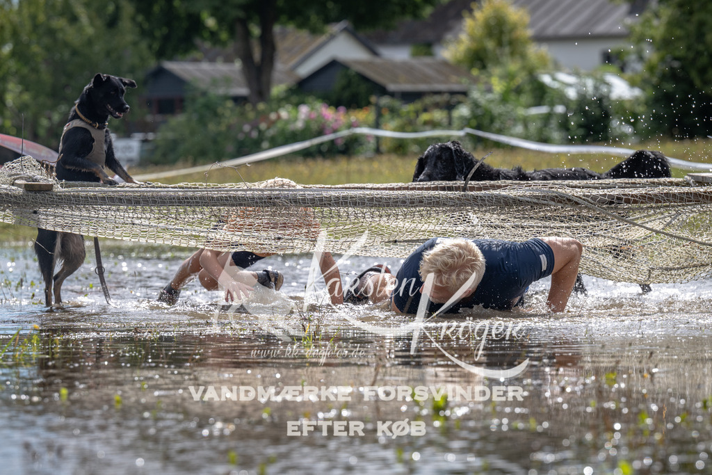 1331_ZZ90046 | kk-dogfotos