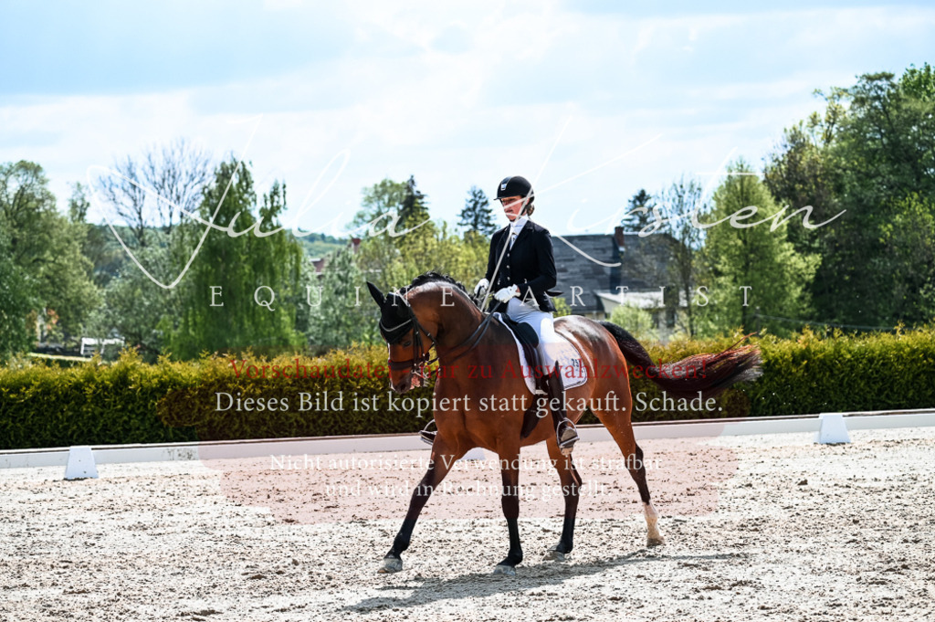 20230513_JK-Röhrsdorf-10-0859 | Pferde- und Turnierfotografie in Westsachsen. Pferdeportraits, Auftragszeichnungen und intuitive Kunst.