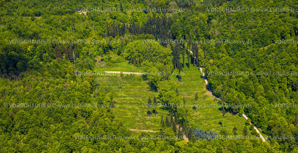 Brakel240504738NSG-HinnenburgerForst | Luftbild, NSG Naturschutzgebiet Hinnenburger Forst mit Emder Bachtal, Waldfläche mit Baumschutzhüllen, Erwitzen, Nieheim, Ostwestfalen, Nordrhein-Westfalen, Deutschland