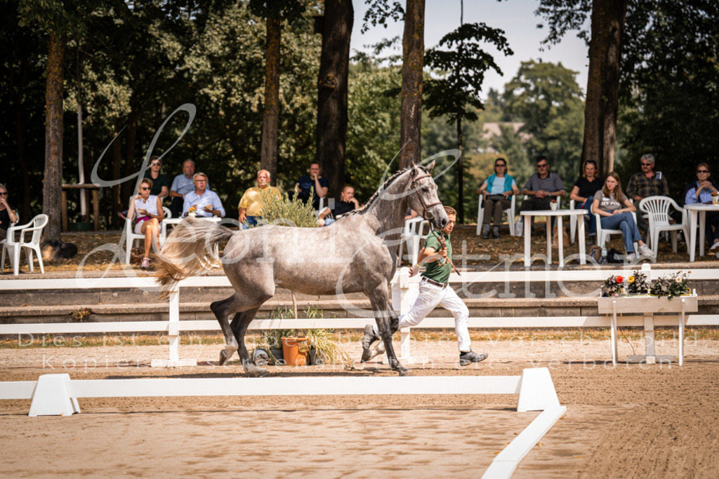 1.Fr00023 | Leoni Ertmer Photography - Realisiert mit Pictrs.com