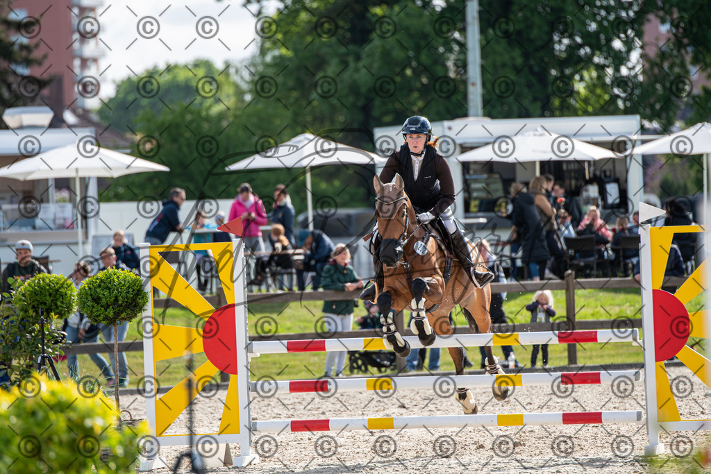 KPT_4660 | andre_photographic