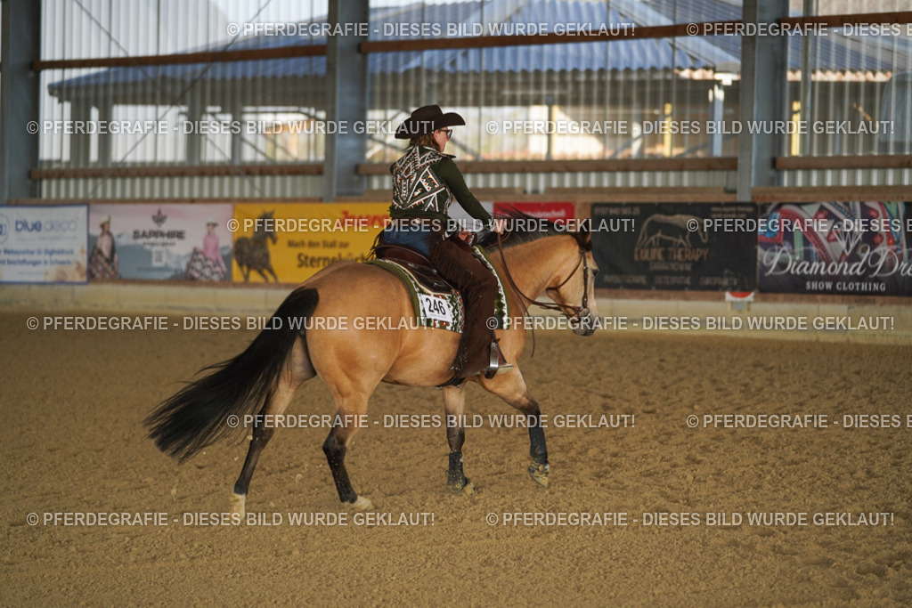 DSC08334 | Pferdegrafie