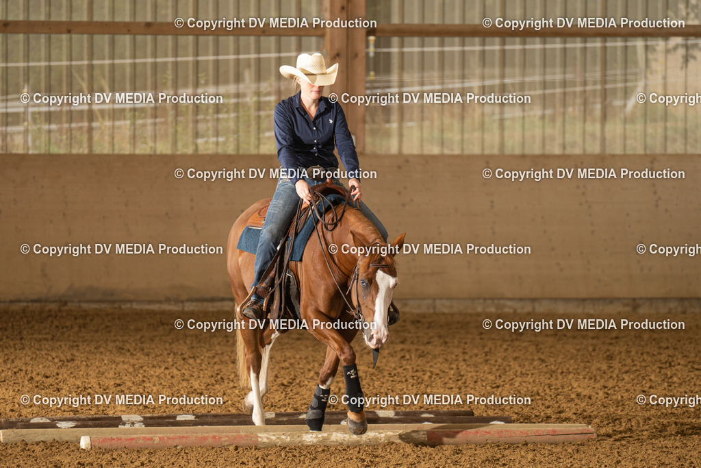 LAU00589 | dv-media-shop - Realisiert mit Pictrs.com