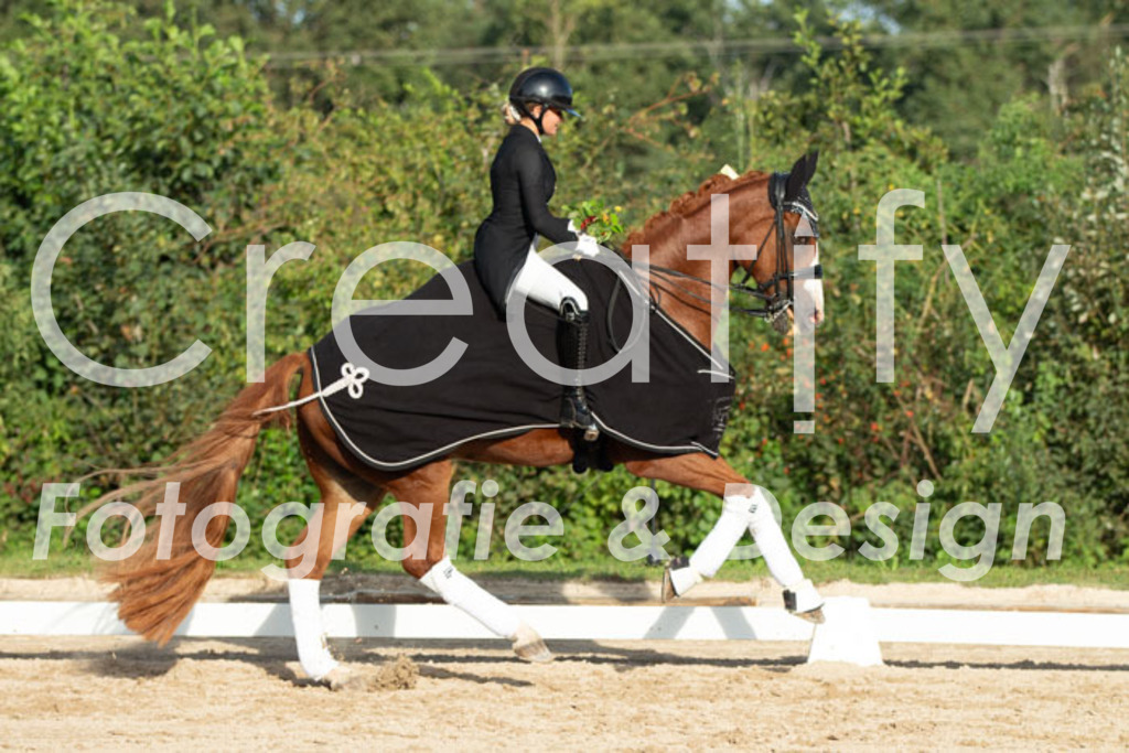 IMG_5169 | Creatify Fotografie