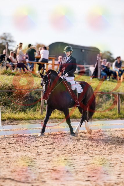 2026_10_03_Siefer-Hof_131530_Z81_63938534 | Professionelle Reitsport-, Turnier- und Eventfotografie von Robert Broda. Galerien mit ausgewählten und bearbeiteten Bildern direkt online ansehen und bestellen.
