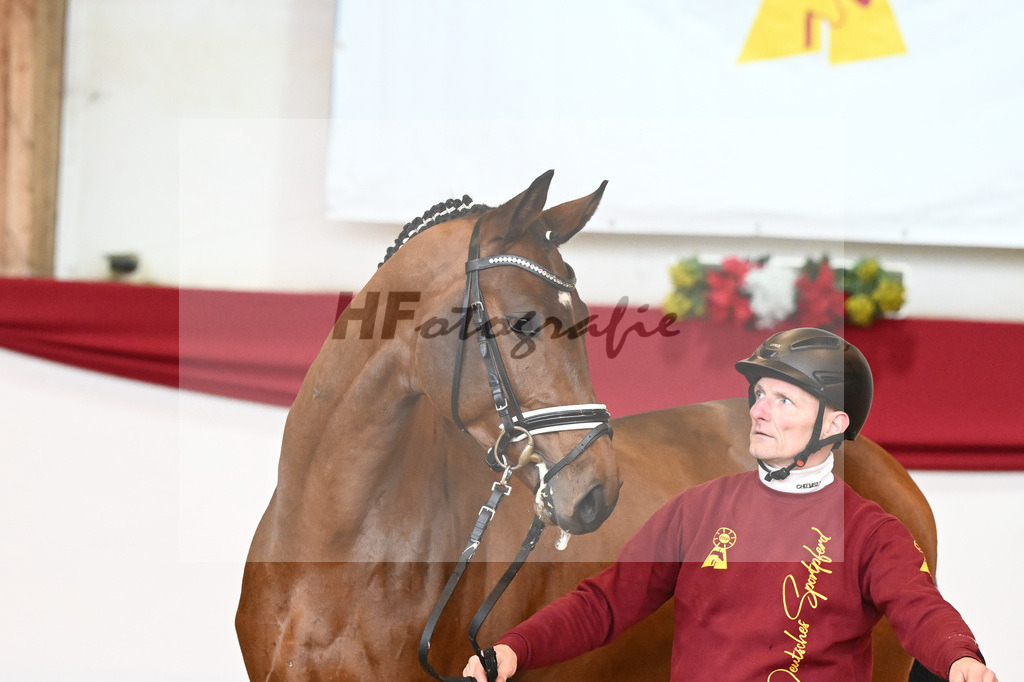 Kat-Nr. 56 Va Pensiero x Desperados_Gestuet Greim_43230805 | hf-fotografie - Realisiert mit Pictrs.com