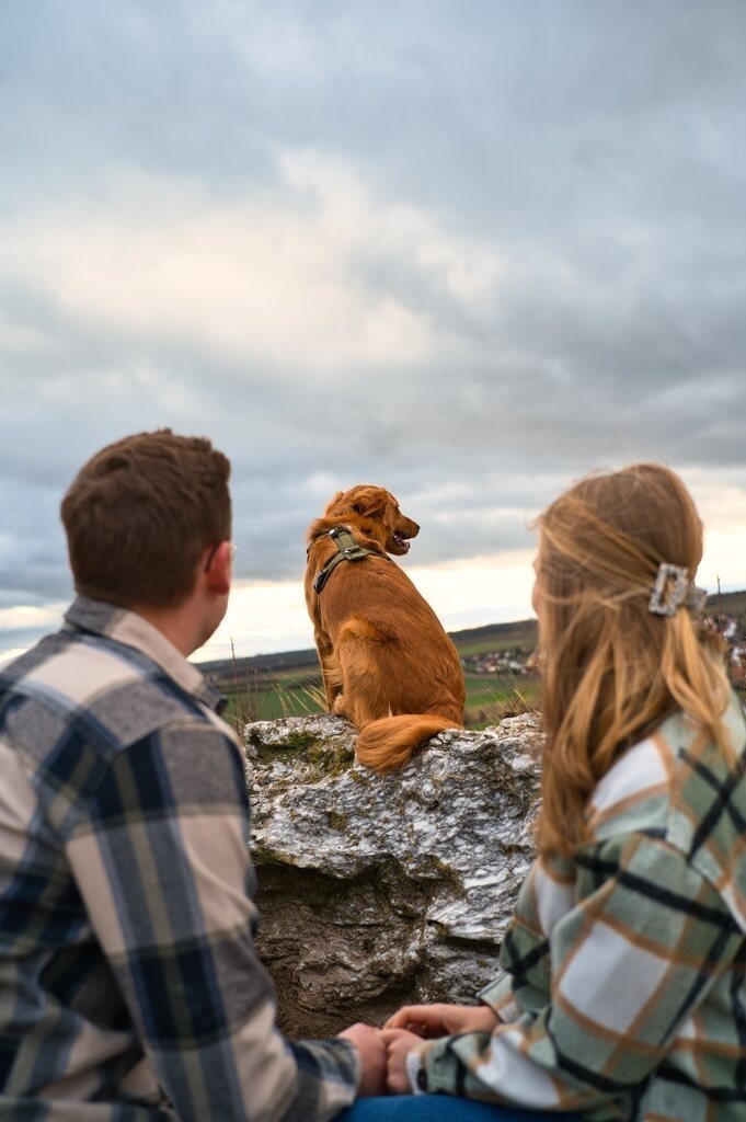 DSC_2944 | Unvergessliche Erinnerungen in Bildern festgehalten! Ob Hochzeit, Shooting oder Landschaft  - Ich bin dein Fotograf in Erfurt und Umgebung! Photo-Rauch | Sandro Rauch - Realisiert mit Pictrs.com