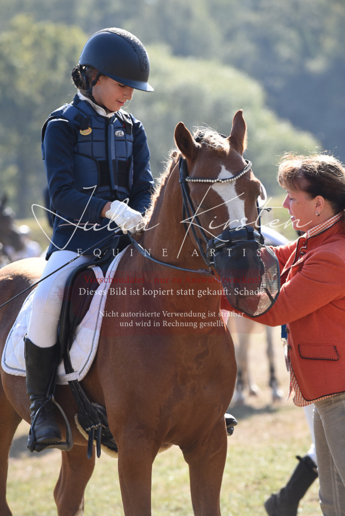DSC_6150 | Pferde- und Turnierfotografie in Westsachsen. Pferdeportraits, Auftragszeichnungen und intuitive Kunst.