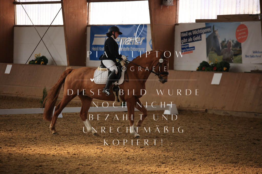 IMGT8098 | pl-fotografie