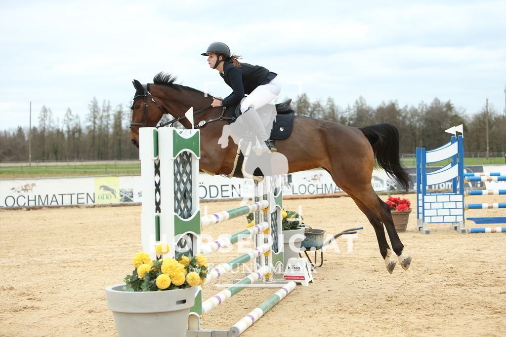 DL2Q2733 | Willkommen bei Brunnmayr - Design & Fotografie – Ihrem Spezialisten für Reitturniere und Pferdeveranstaltungen in Oberösterreich, Salzburg und Bayern! Seit über 17 Jahren sind wir leidenschaftlich dabei.