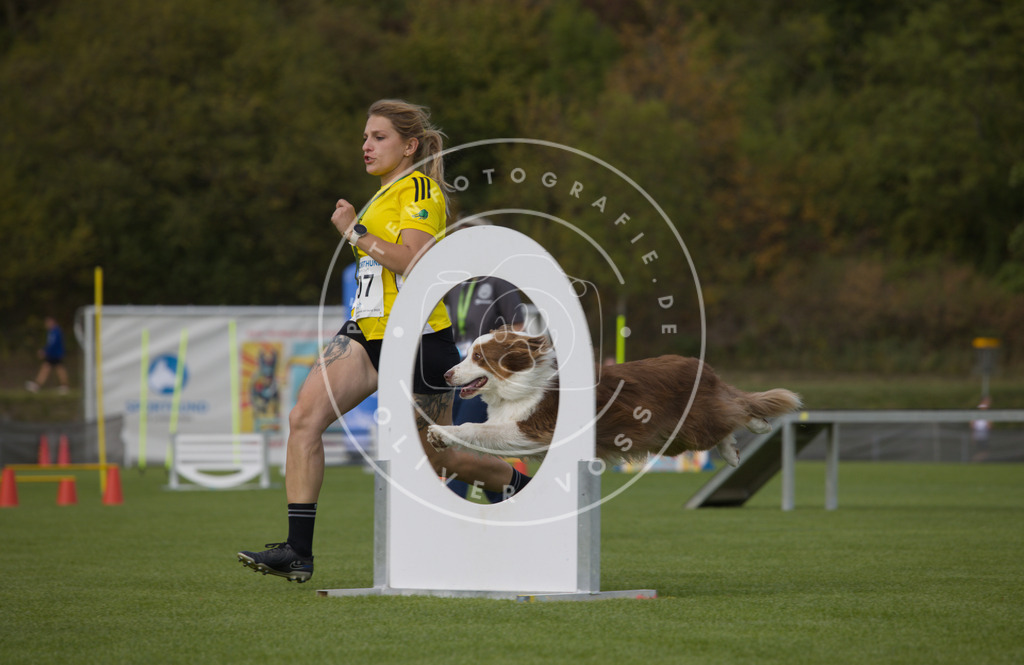 0L8A3655 | Hundefotografie, Tierfotograf, Pfotenfotografie, Fotoshooting Hund, Hunde Portrait, Hundesport, Hundeportraits, Heideshooting, Hunde, Sportfotograf, Hundefotograf, Turnierhundsport, THS,  - Realisiert mit Pictrs.com