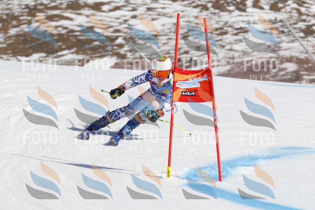 _U3G9389 | holidayphoto